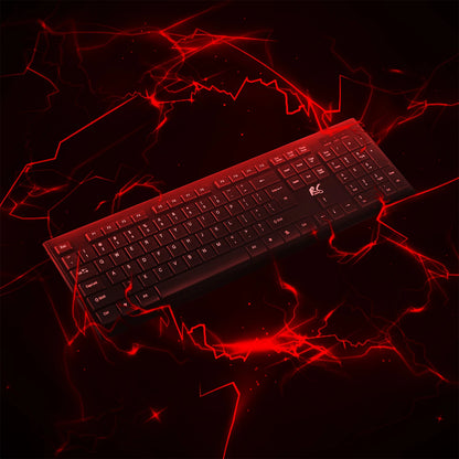 Kit de teclado y ratón inalámbricos QWERTY NanoRS RS580