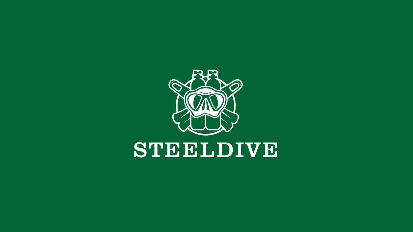 STEELDIVE SD1954 Black Dial 41MM Stainless Steel NH35 Automatic Movement What Ghost Mens 300M Dive Watch  Sapphire Glass