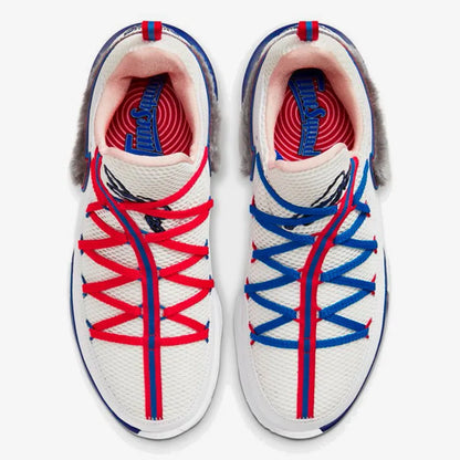Zapatillas de baloncesto Nike Genuine LeBron Low EP James CD5006-100
