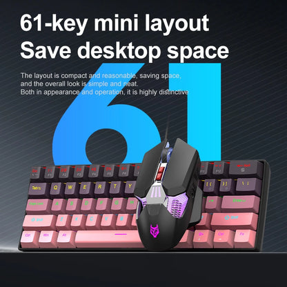 Tastiera meccanica mini APAYADO K61, cablata, 61 tasti, RGB Phantom, nera/bianca, switch meccanici rossi/blu per gaming, portatile 60%