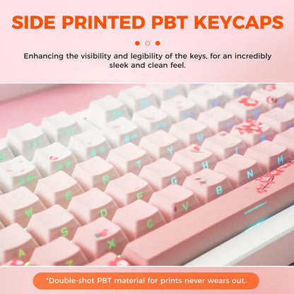 DAREU Tri-mode Gasket Mechanical Keyboard N-Key Rollover Anti-ghosting RGB Backlight Dream switch with Multi Media Button