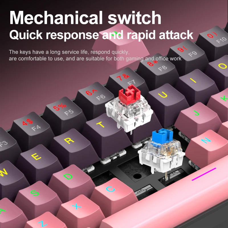 Tastiera meccanica mini APAYADO K61, cablata, 61 tasti, RGB Phantom, nera/bianca, switch meccanici rossi/blu per gaming, portatile 60%