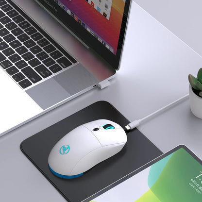 2.4G Wireless Rechargeable Mouse with RGB Lighting, 3600 DPI Ergonomic Silent Wireless Mouse for Laptop, PC, Office & Gaming