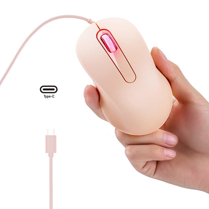 Silent 3D Mouse - Ergonomics Optical Mice 1000DPI For PC Laptop MacBook Tablet Phone, For Windows/MacOs/Android, USB-C