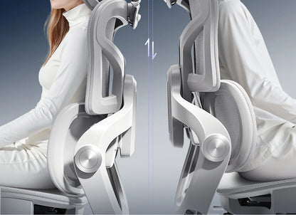 Stable Chair Lifting Waist Computer Chair Ergonomic Chair Office Chair Game Gaming Chair Waist Protection