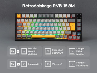 Layout ISO-FR EPOMAKER X AJAZZ AK820 PRO 75% AZERTY Francese Tastiera meccanica hot-swap cablata/BT/wireless 2.4GHz per Win/Mac/PC