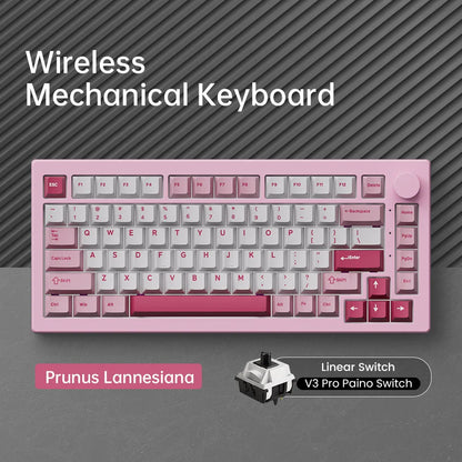 Teclado Akko 5075 V3 75% ANSI-US con rueda de volumen, hot-swappable, RGB, USB Type-C/2.4g y BT5.0, trimodo, teclado mecánico gaming personalizado