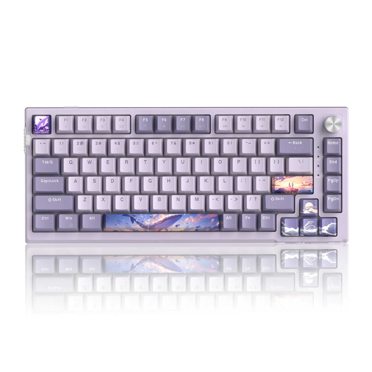 MageGee SKY81 Tastiera meccanica gaming 75%, RGB Gasket hot-swappable cablata personalizzabile, tastiera con suono cremoso e smorzamento acustico con manopola