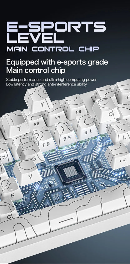 Teclado gaming magnético con cable ATTACK SHARK R82 HE 75% RGB 8000Hz Rapid Trigger, activación de 0.005mm