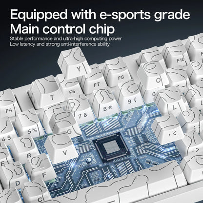 Teclado gaming magnético con cable ATTACK SHARK R82 HE 75% RGB 8000Hz Rapid Trigger, activación de 0.005mm