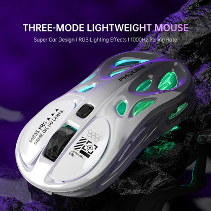 Tri-Mode RGB Gaming Mouse Wireless 2.4G Bluetooth Wired Lightweight Gaming Mouse with Chroma RGB Lighting, 4800 DPI Rechargeable Gaming Mouse for PC & Laptop