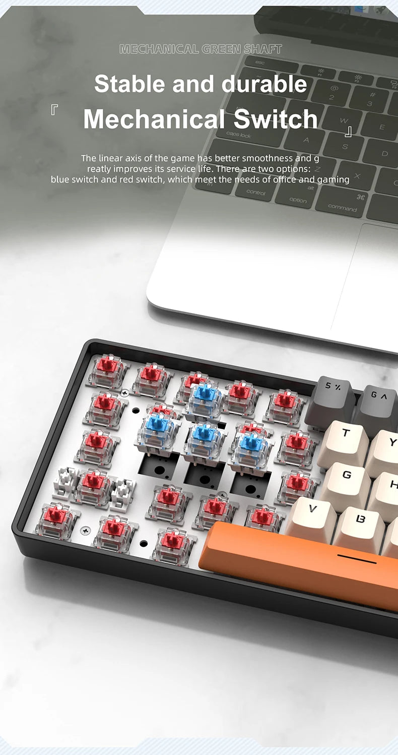 Tastiera meccanica mini APAYADO K61, cablata, 61 tasti, RGB Phantom, nera/bianca, switch meccanici rossi/blu per gaming, portatile 60%