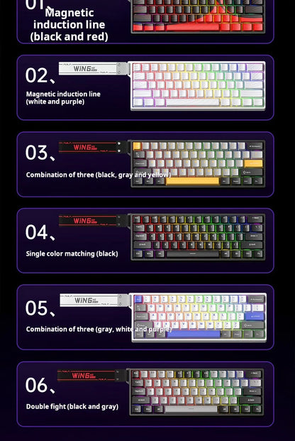 AULA WIN60 HE Tastiera cablata ad asse magnetico RT, tastiera meccanica personalizzata per giochi e-sport, polling rate 8K