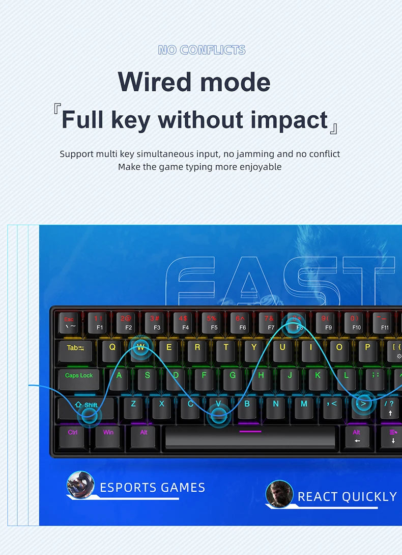 61 Keys Mechanical Keyboard Wired,APAYADO K61 RGB 60% Portable Mini Keyboard Black,White, Red/Blue Switch for Gaming
