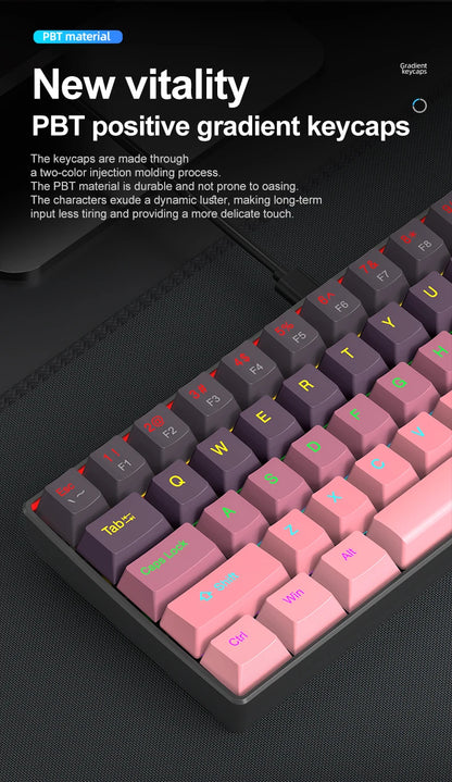 Tastiera meccanica mini APAYADO K61, cablata, 61 tasti, RGB Phantom, nera/bianca, switch meccanici rossi/blu per gaming, portatile 60%