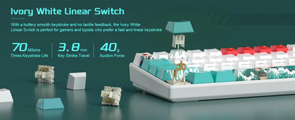 Tastiera gaming meccanica MageGee 60%, RGB, completamente hot-swappable, switch personalizzati, mini tastiera da ufficio a 61 tasti per laptop Win/Mac