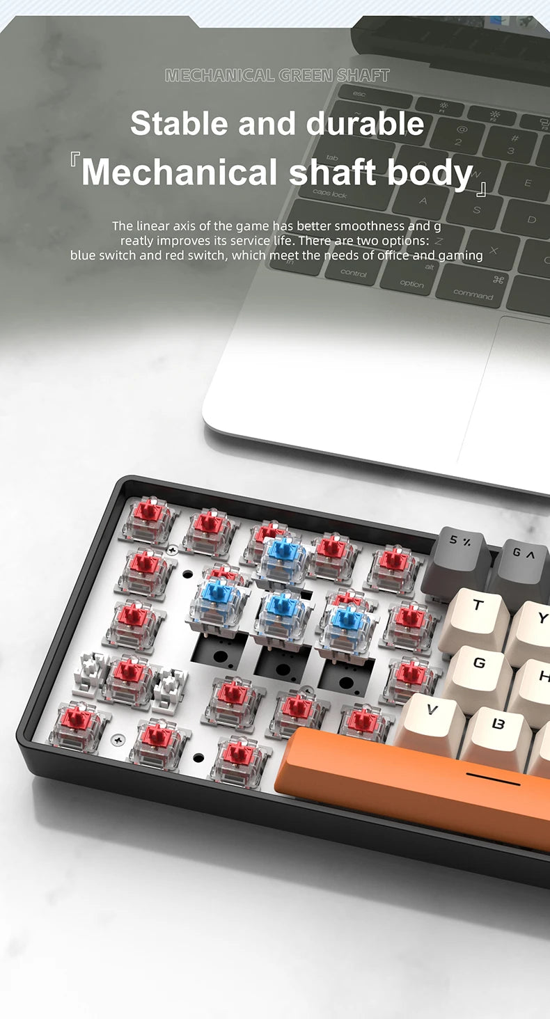 APAYADO K61 60% Mini Wired Gaming Mechanical Keyboard Phantom RGB, 61 Keys, Red/Blue Switch, Ergonomic, Portable for PC/Laptop