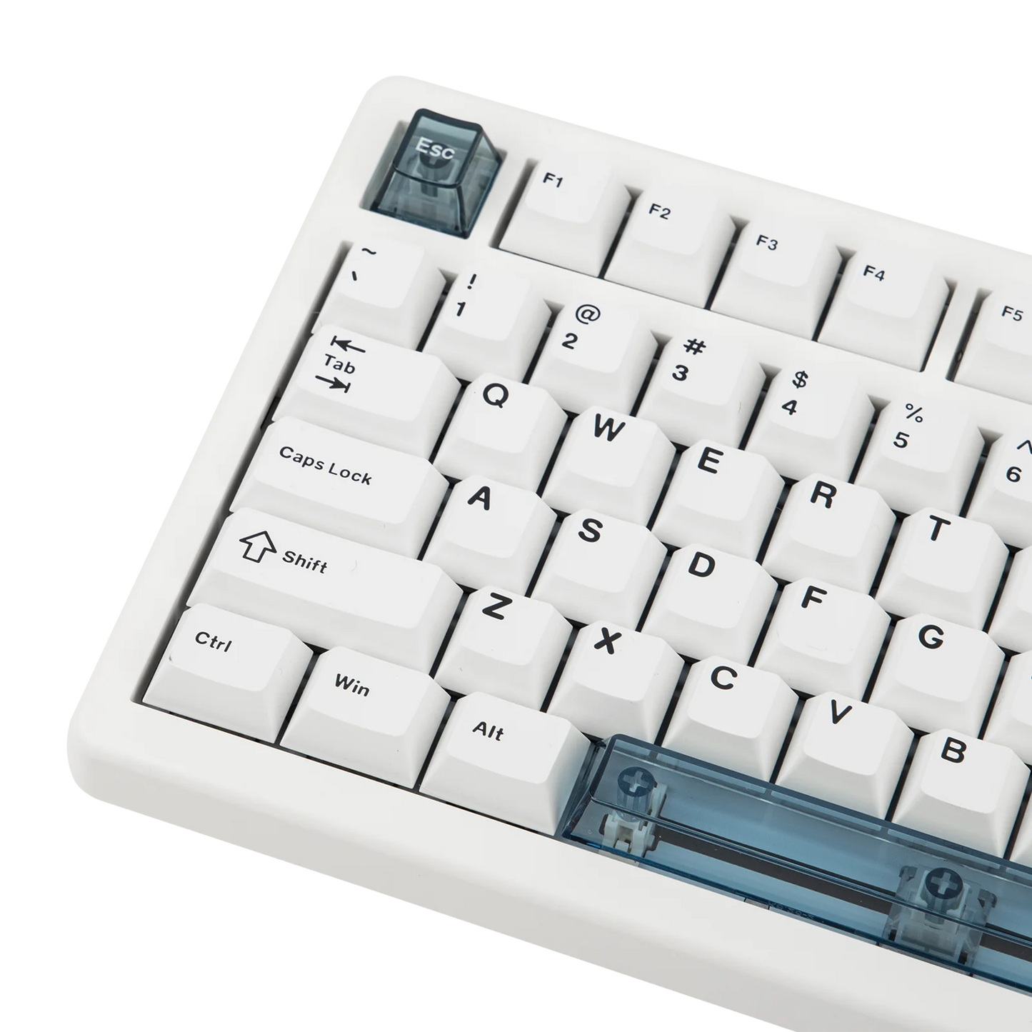 Tastiera meccanica magnetica EPOMAKER HE80 75% layout US QWERTY hot-swap Creamy Gasket cablata con effetto Hall, DKS SOCD per PC/Mac