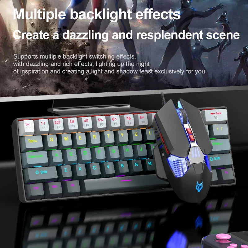 Tastiera meccanica mini APAYADO K61, cablata, 61 tasti, RGB Phantom, nera/bianca, switch meccanici rossi/blu per gaming, portatile 60%