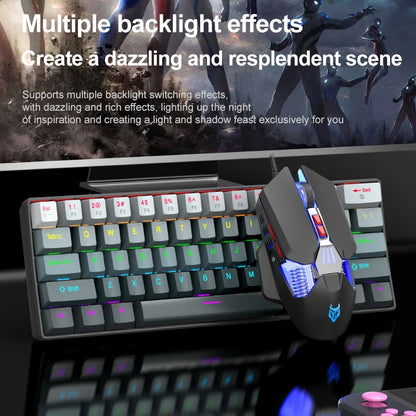 Tastiera meccanica mini APAYADO K61, cablata, 61 tasti, RGB Phantom, nera/bianca, switch meccanici rossi/blu per gaming, portatile 60%