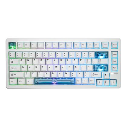 Tastiera meccanica magnetica EPOMAKER HE80 75% layout US QWERTY hot-swap Creamy Gasket cablata con effetto Hall, DKS SOCD per PC/Mac